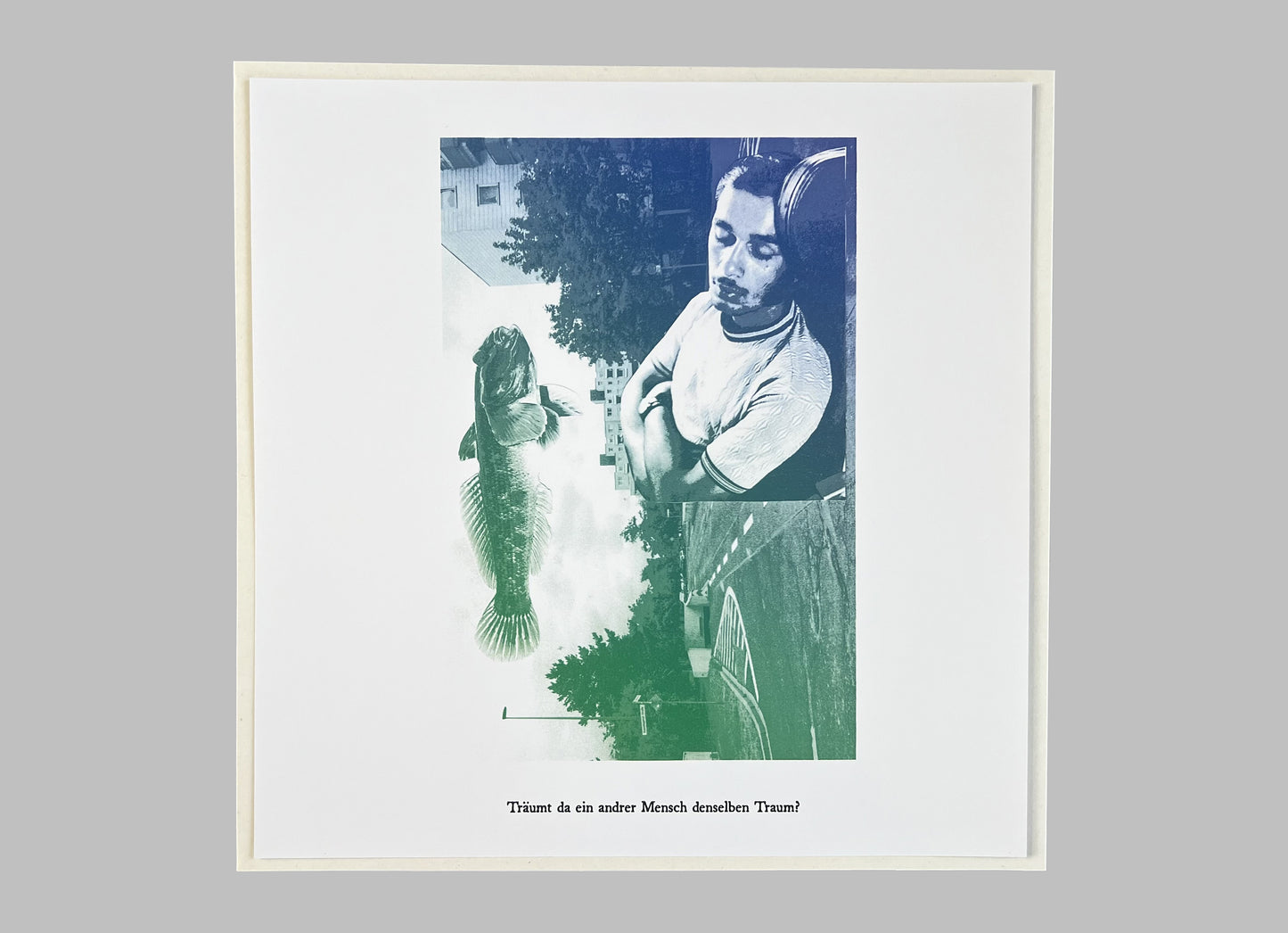 Brannten Schnüre - Muschelsammlung LP (Wahn 01)