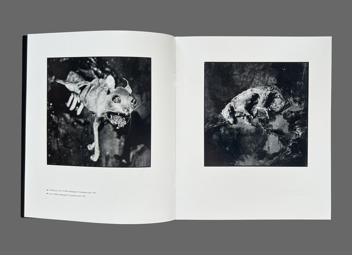 Survival Research Laboratories: 23 Photographs Of Machinery And Performances (1988) + Thoughtfully Regards: The Arbitrary Calculation Of Pathological Amusement (1999)