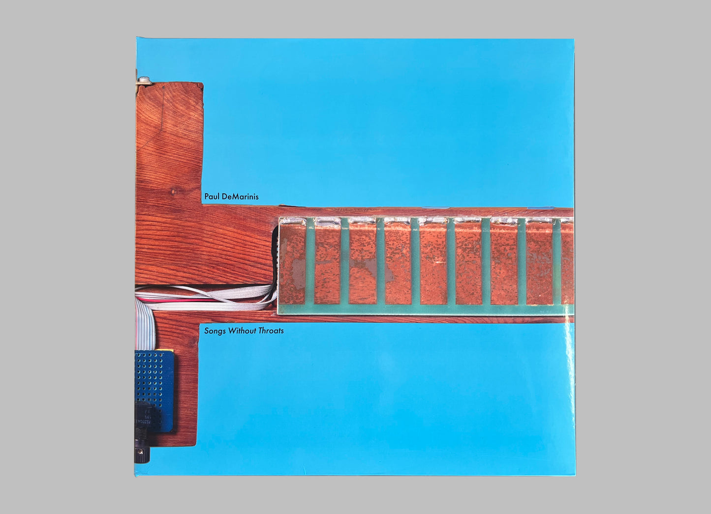 Paul DeMarinis - Songs Without Throats 2xLP (BT041)