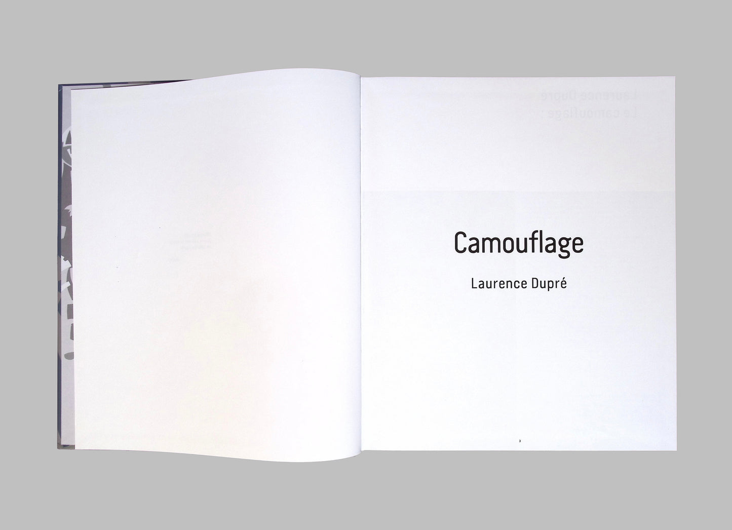 Camouflage by Laurence Dupré