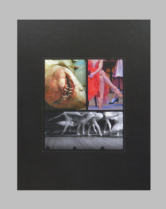 CORRELATIONS (Incl. Limited Slipcase)