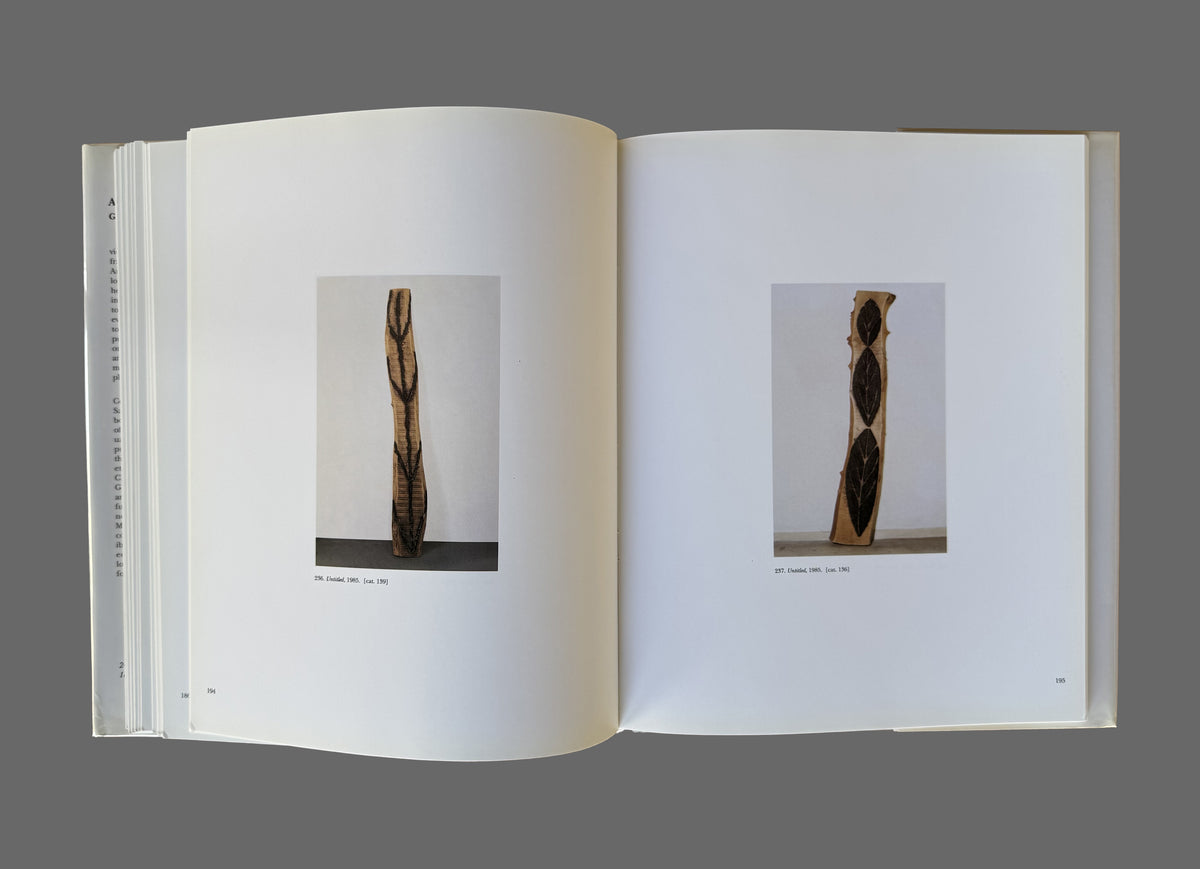 Ana Mendieta by Gloria Moure