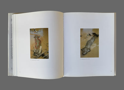 Ana Mendieta by Gloria Moure