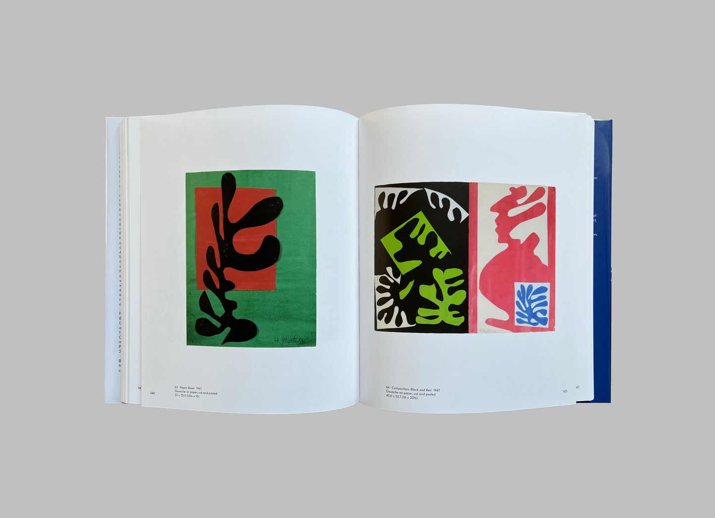 Henri Matisse 'The Cut-Outs'