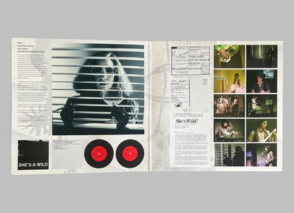 Behrman, DeMarinis, Friedman, Hanlon, Klingensmith - She’s More Wild… LP (BT059)