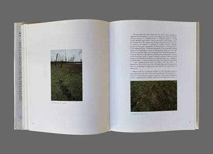 Ana Mendieta by Gloria Moure