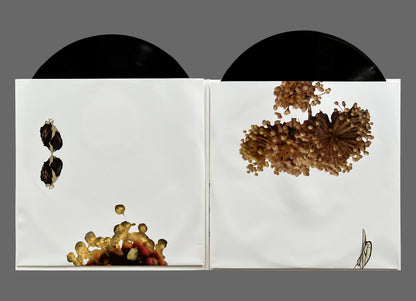 Coil - The Ape Of Naples 2xLP (IMPREC174)