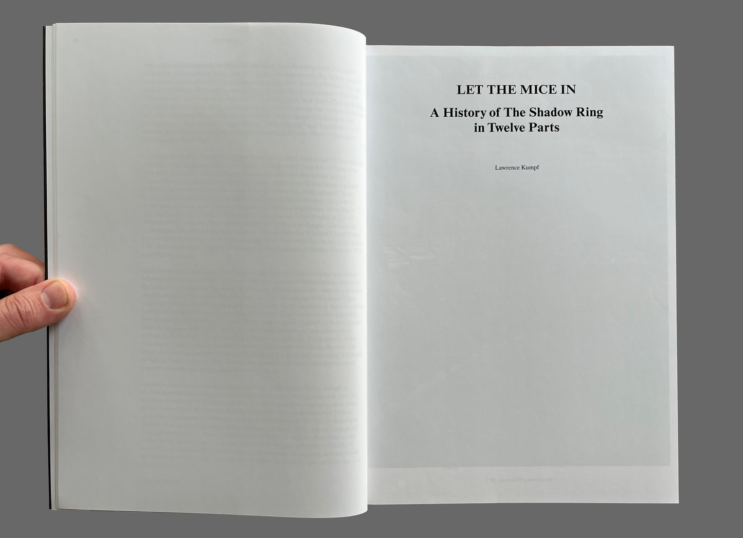 The Shadow Ring 1992-2002 Edited by Lawrence Kumpf, G. Lambkin, and L. Quigley