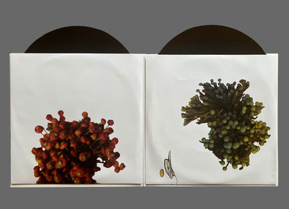 Coil - The Ape Of Naples 2xLP (IMPREC174)