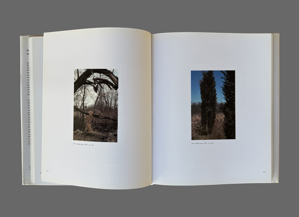 Ana Mendieta by Gloria Moure