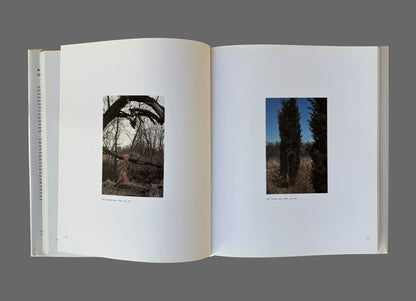 Ana Mendieta by Gloria Moure