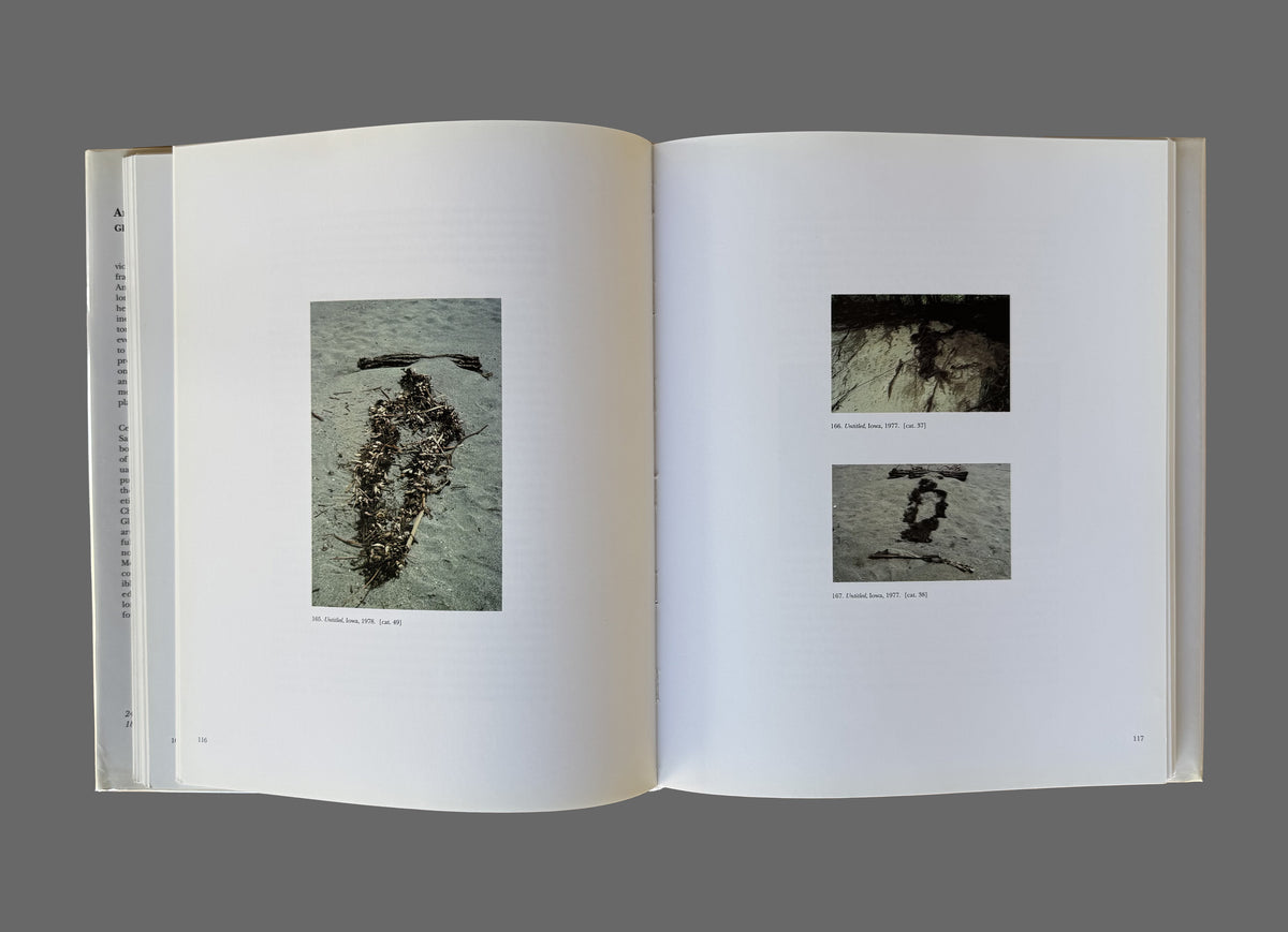 Ana Mendieta by Gloria Moure