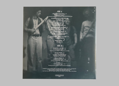 Behrman, DeMarinis, Friedman, Hanlon, Klingensmith - She’s More Wild… LP (BT059)