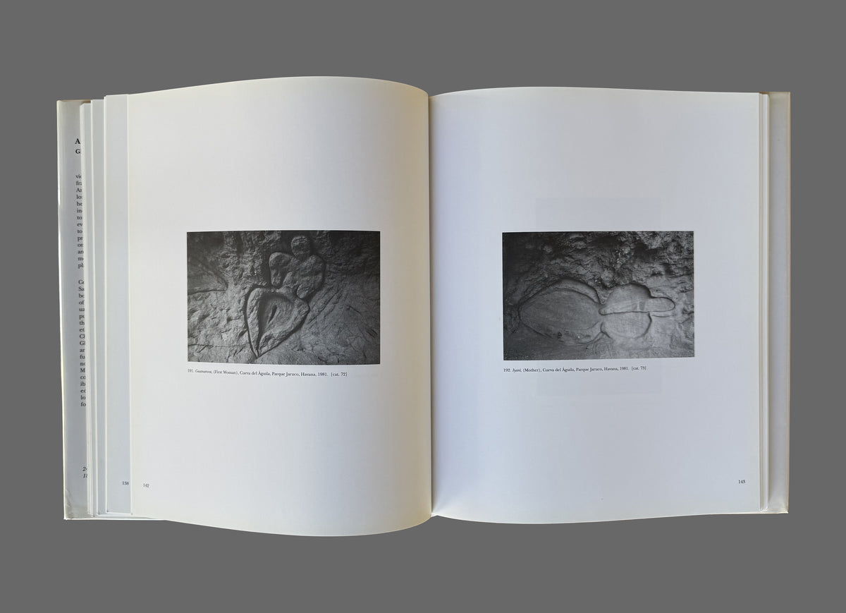 Ana Mendieta by Gloria Moure