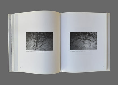 Ana Mendieta by Gloria Moure