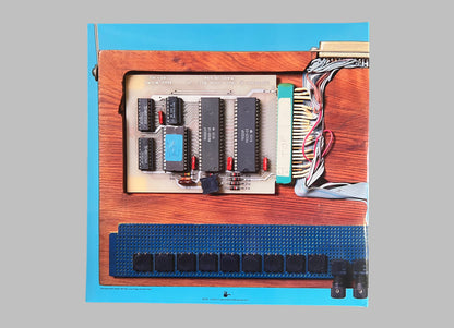 Paul DeMarinis - Songs Without Throats 2xLP (BT041)