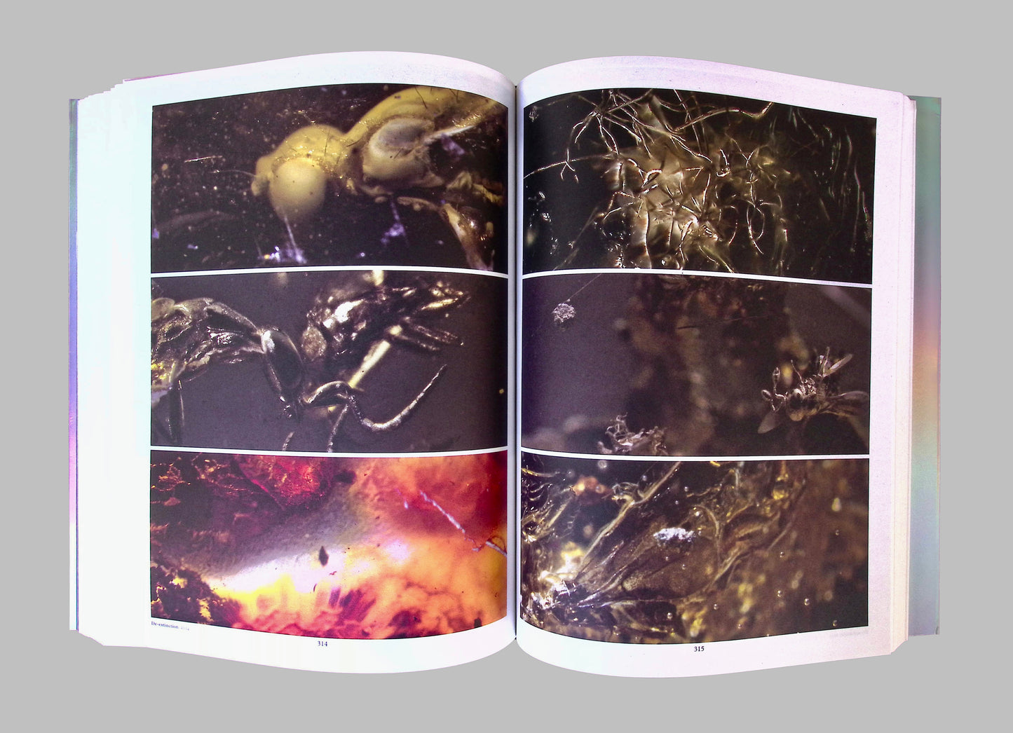 Liminal by Pierre Huyghe