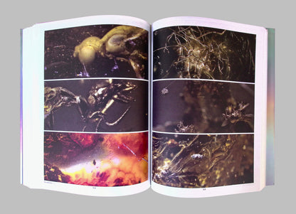Liminal by Pierre Huyghe